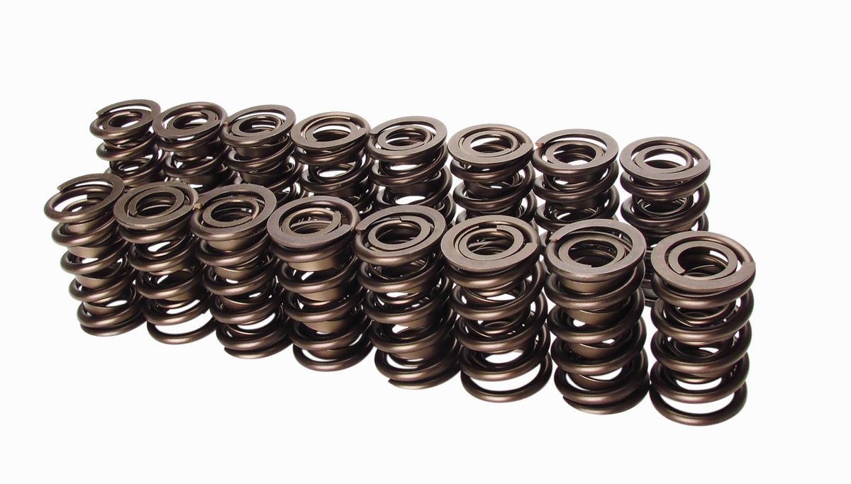 Race Endurance 1.560" OD Dual Springs; 2.050" Installed Height; 16 Springs