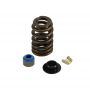 .510" Lift Beehive Valve Spring Kit For GM Vortec Hydraulic Flat Tappets