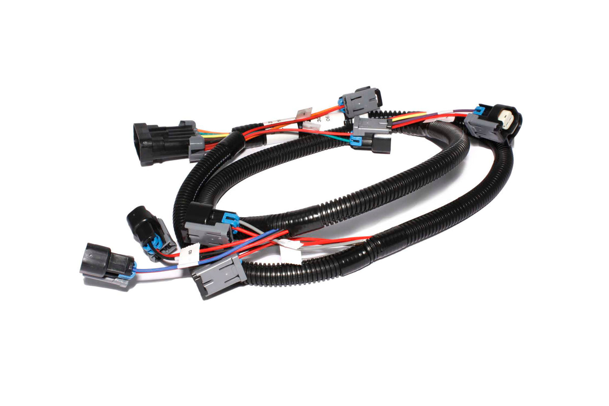 XFI Fuel Inector Harness for GM LS Series engines.